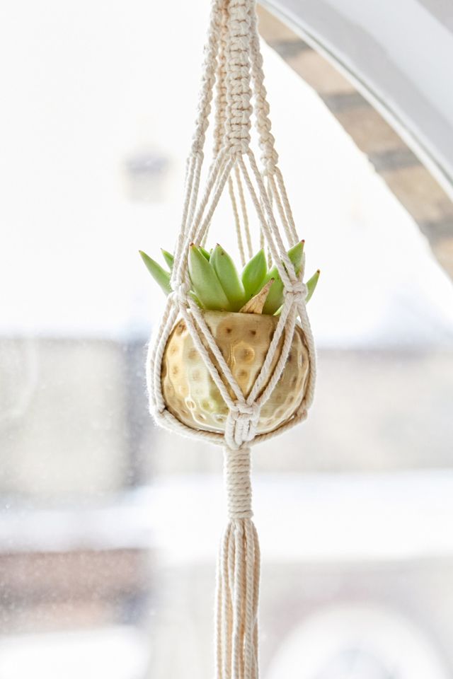 Mini Macrame Hanging Planter #1