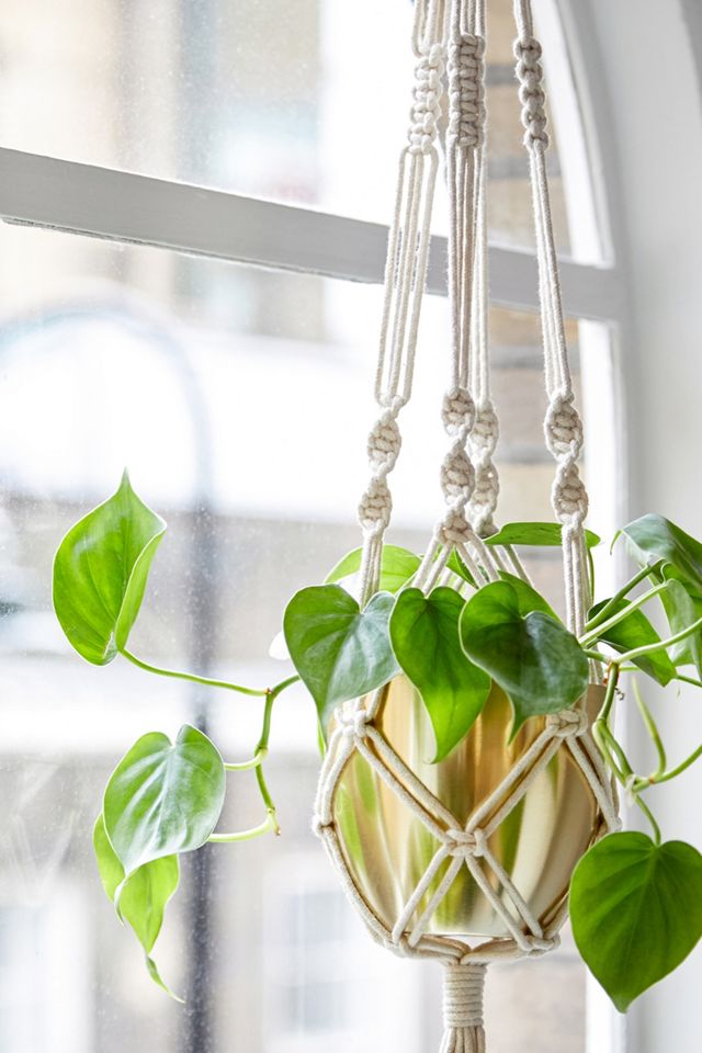 Macrame Hanging Planter #1