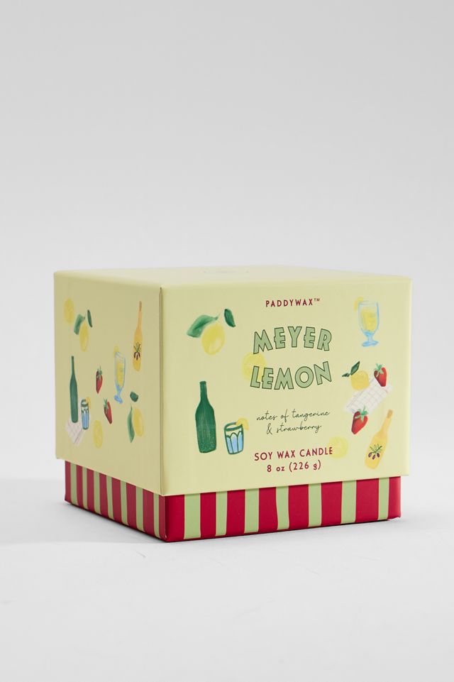 Vela de Cera de Soja de Cerámica con Forma de Limón Paddywax #3