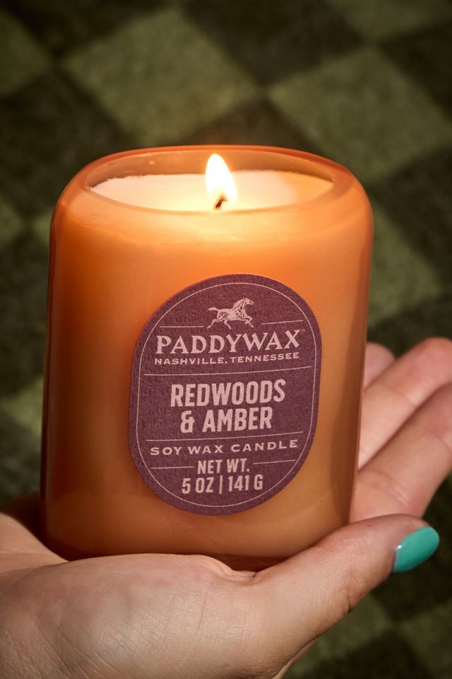 Bougie en cire de soja Paddywax Vista Redwoods & Amber 5oz #1