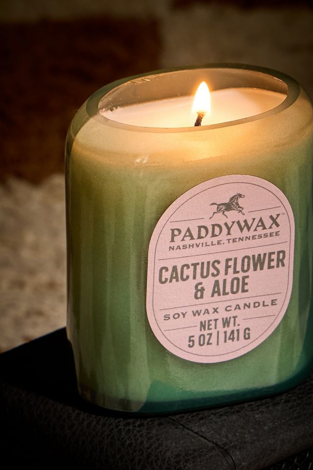 Bougie en cire de soja Paddywax Vista Fleur de cactus et aloès 5oz #1