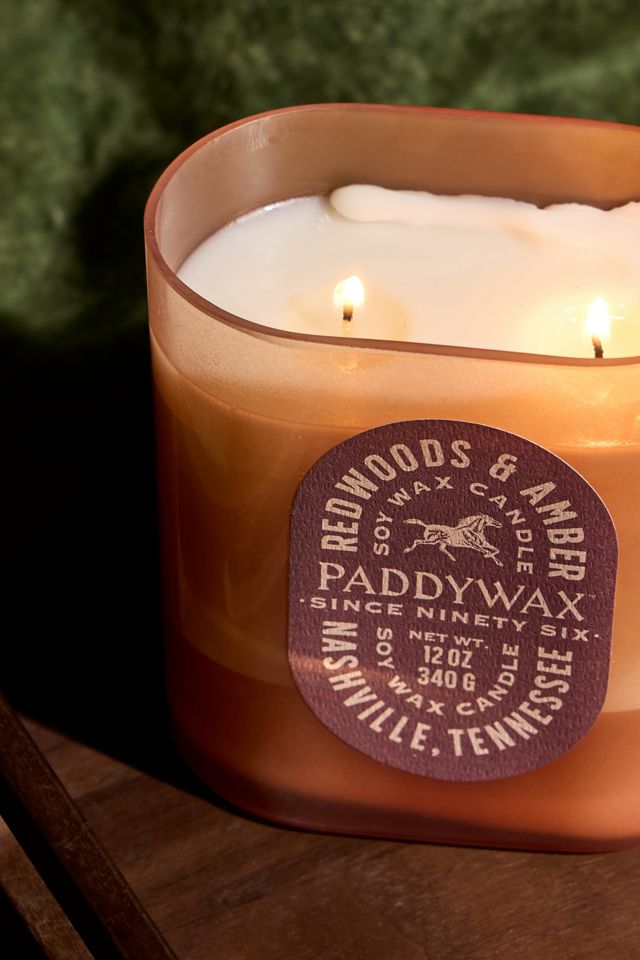 Bougie en cire de soja Paddywax Vista Redwoods & Amber 12oz #1