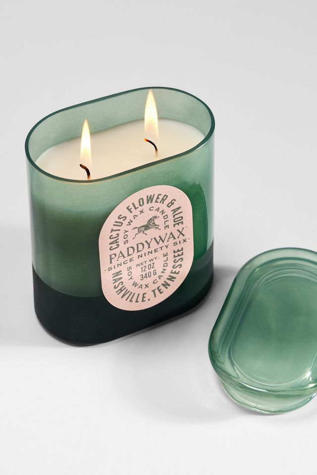 Paddywax Vista Cactus Flower & Aloe Soy Wax 12oz Candle #1
