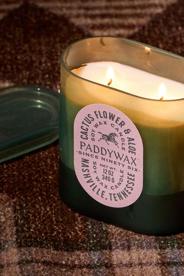 Bougie en cire de soja 12oz Fleur de cactus et Aloès Vista Paddywax #1