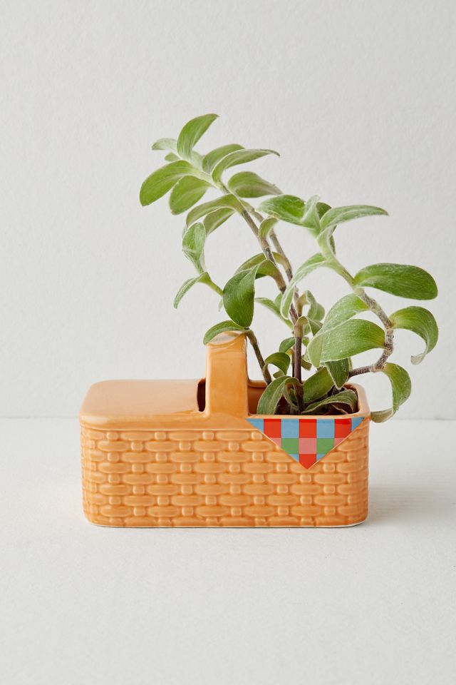 Picnic Blanket Planter #2