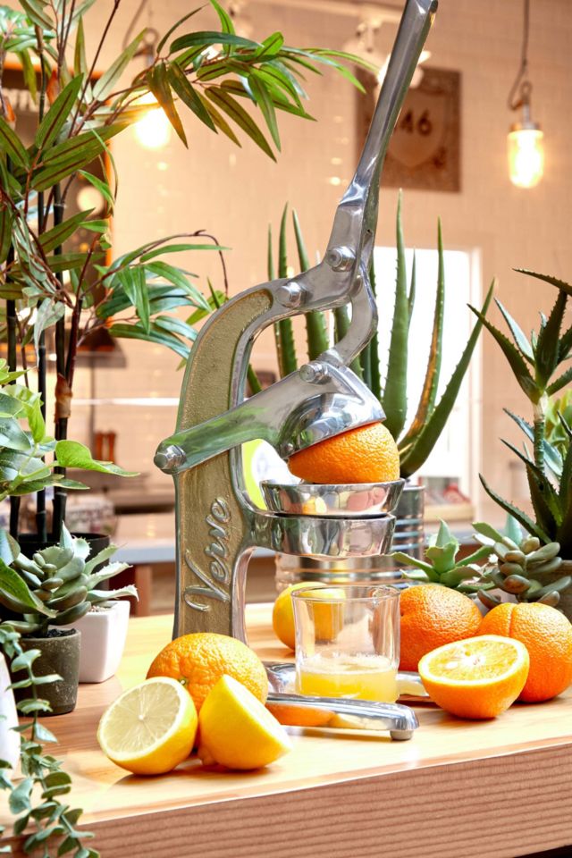 Artisan Citrus Juicer