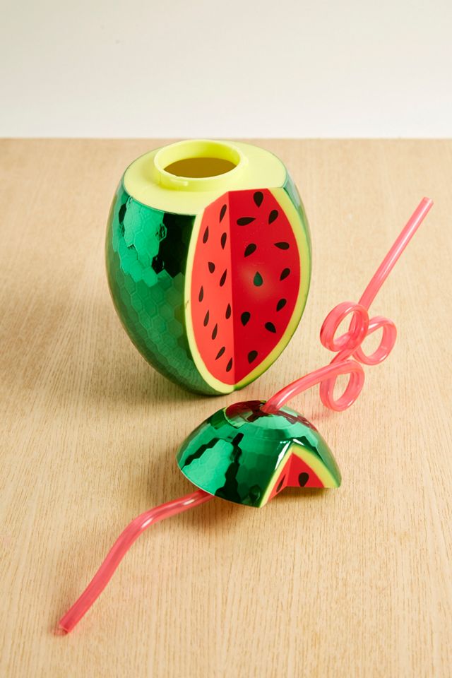 Disco Watermelon Sipper Cup #1