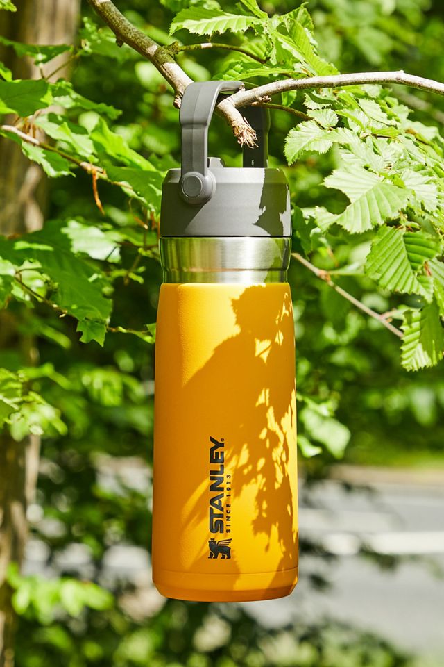 Stanley® Go Flip Straw Water Bottle - Saffron, 22 oz - Kroger