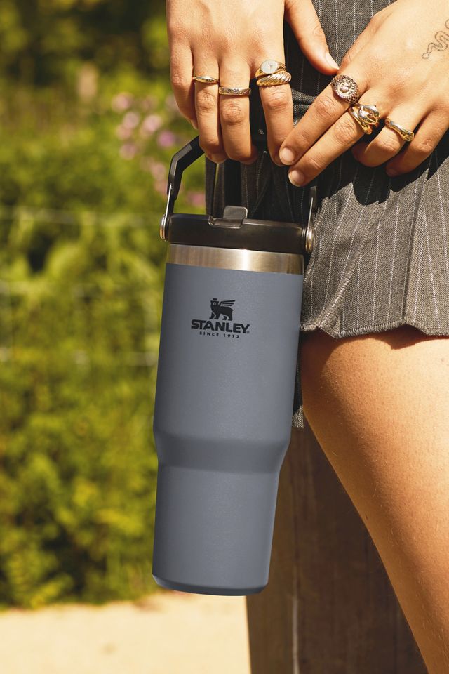 Stanley The IceFlow Flip Straw Water Bottle | 22 oz Charcoal