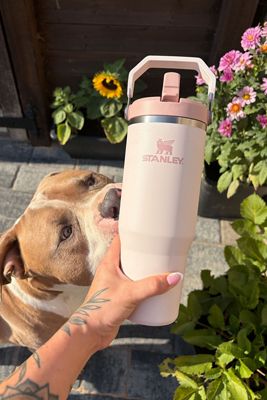 Stanley IceFlow™ Flip Straw 2.0 0.89L / 30oz Bicchiere