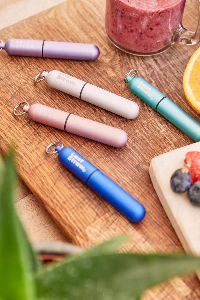 The Last Straw Reusable Straw & Case | Urban Outfitters UK