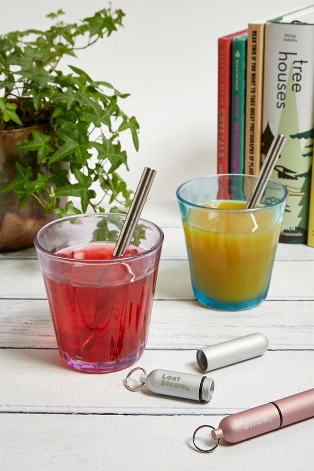 The Last Straw Reusable Straw & Case Urban Outfitters UK