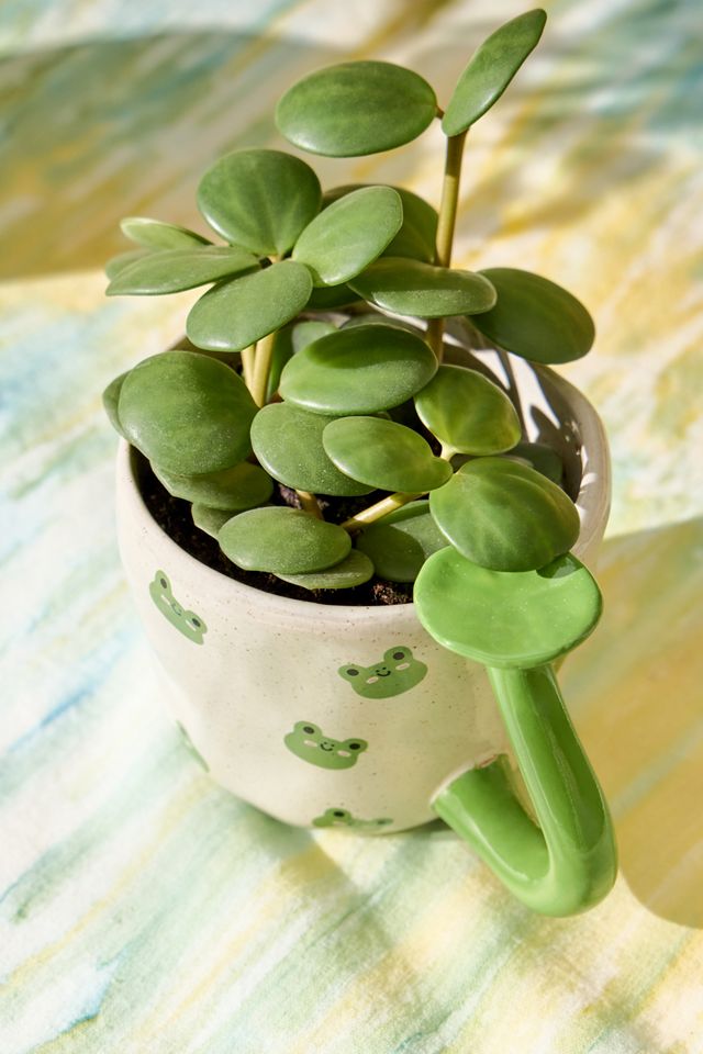 Micro Frog Lily Pad Mug #2