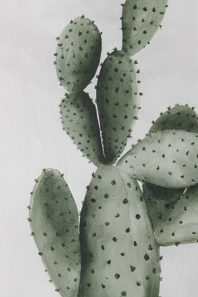 Set copripiumino Cacti #3