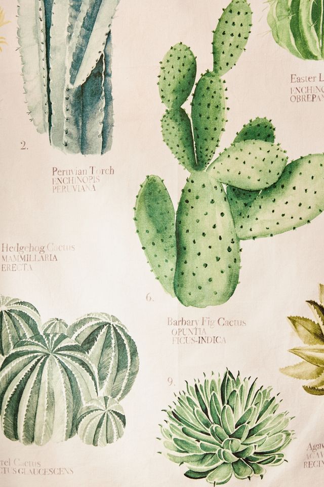 Cactus and Succulents Tapestry #2
