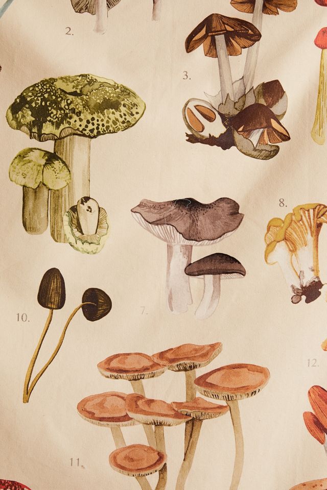 Mushroom Chart Tapestry #3