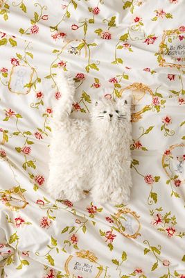 Frankie Cat Cushion