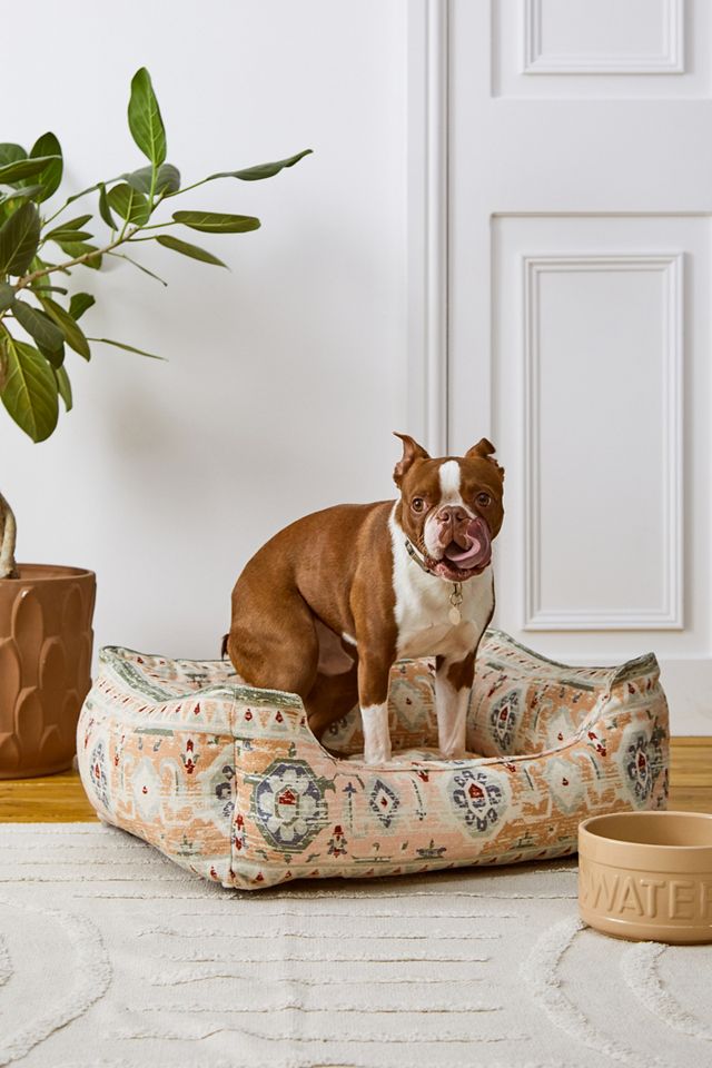 Anthropologie hotsell dog bed