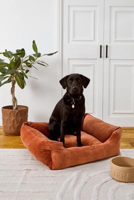 Milo nest 2025 dog bed reviews