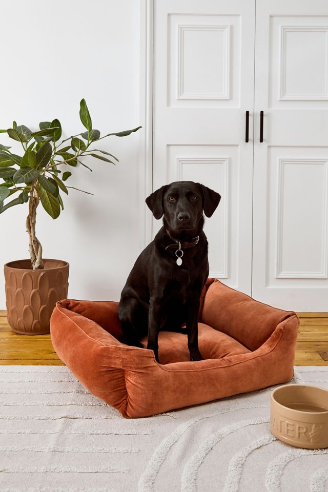 Urban outfitters shop dog bed