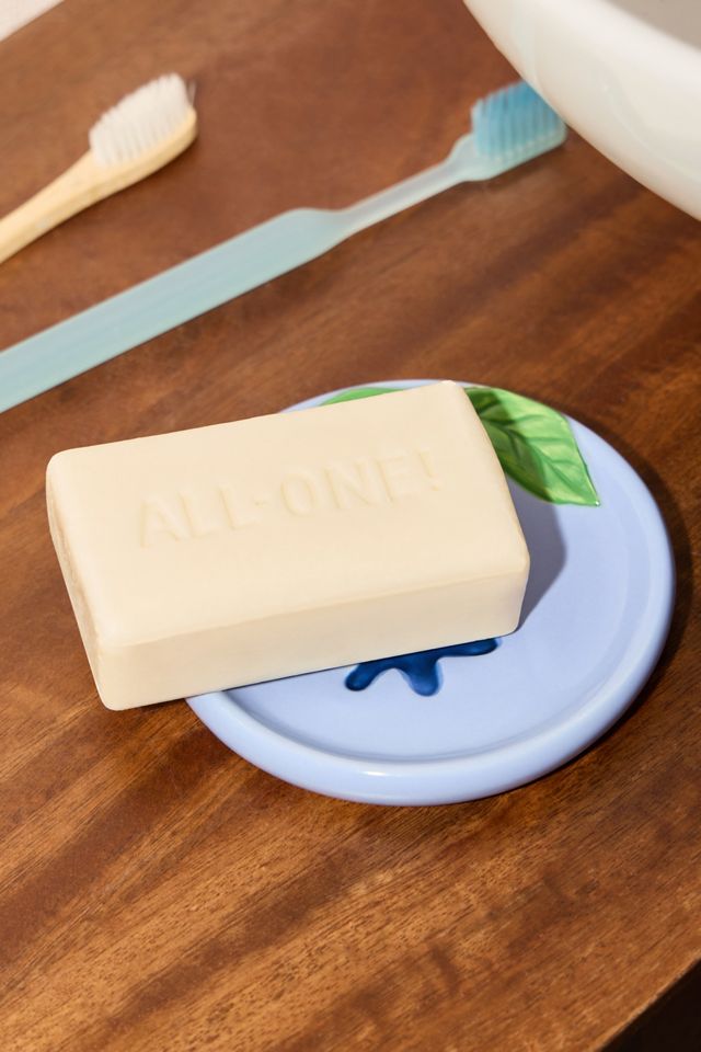 Blueberry Soap Dish #1