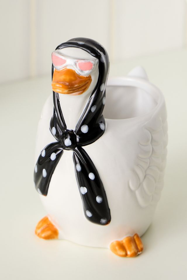 Maceta de Almacenamiento Silly Goose #2