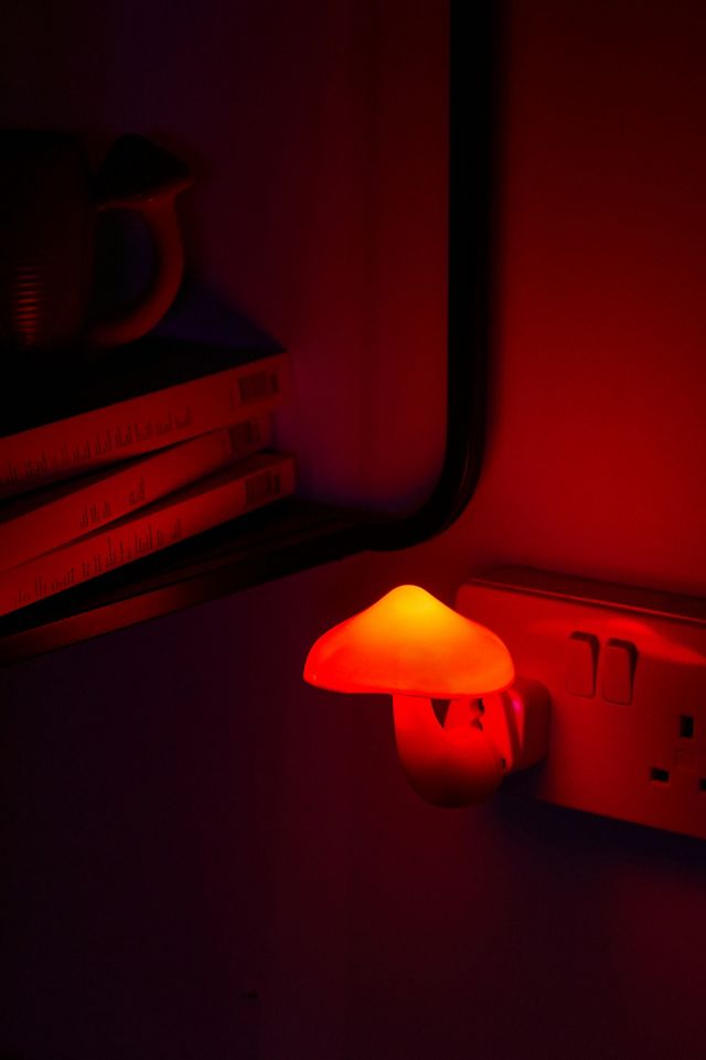 Wild Mushroom UO Exclusive Plug-In Nightlight  #3