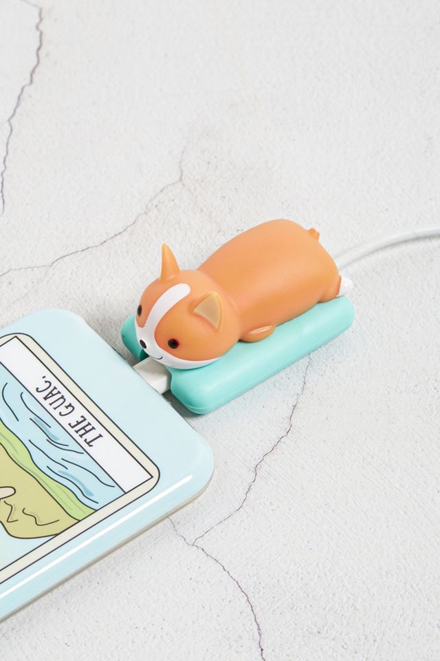 Smoko Corgi Light , Wish Bear x Lil B Dumpling Light – MMED