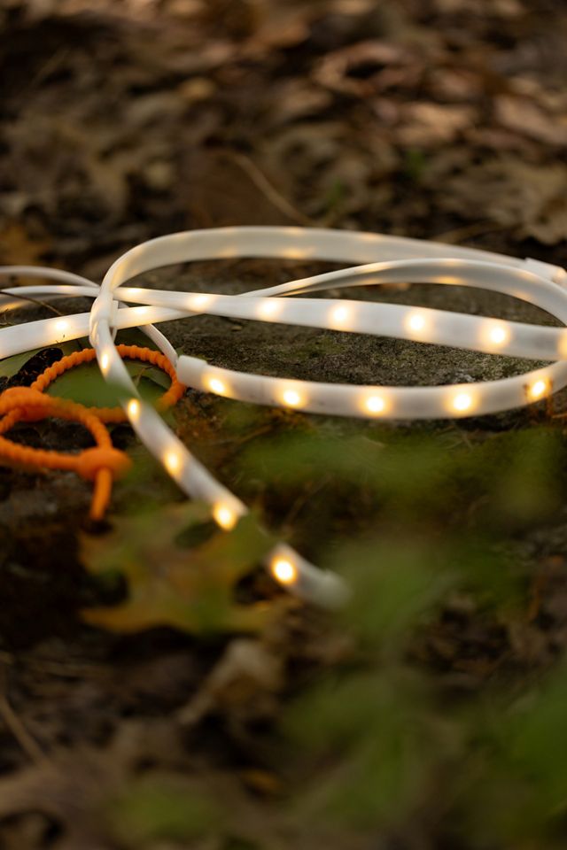 LED Rope Lights #2