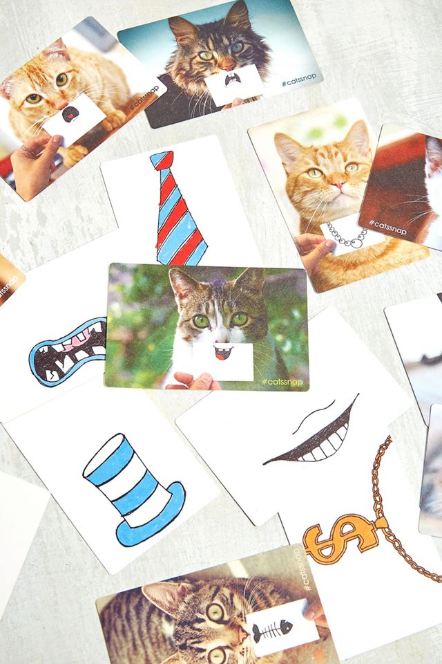 Suck UK – Fotokarten „Cats Snap“ für Katzenfotos #1