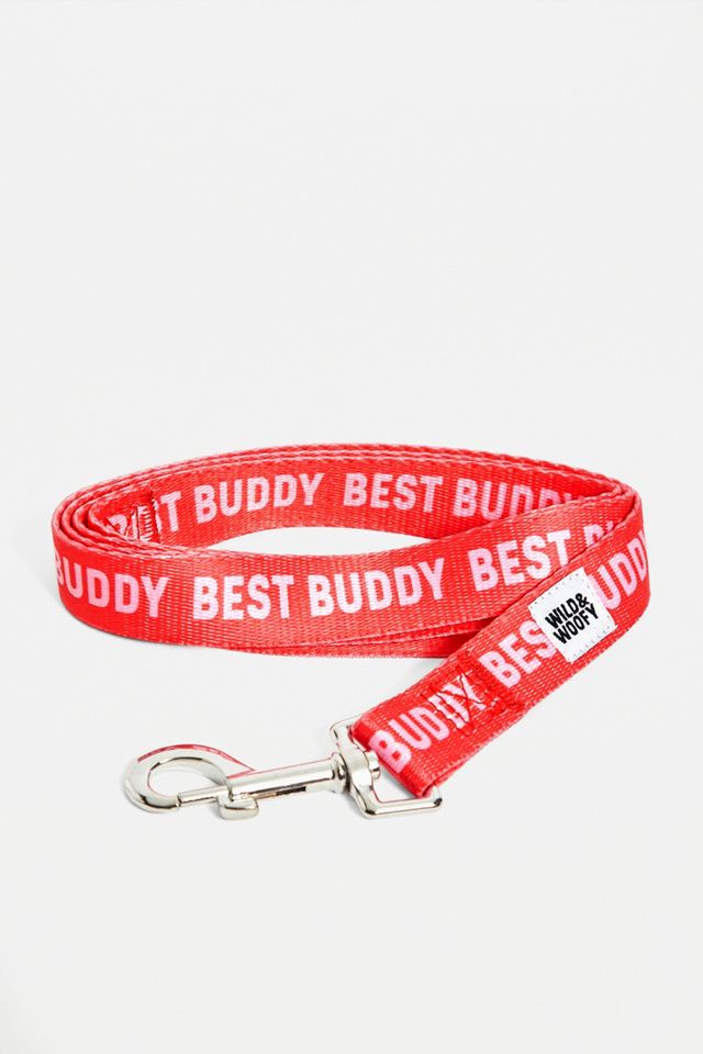 Laisse Best Buddy #3