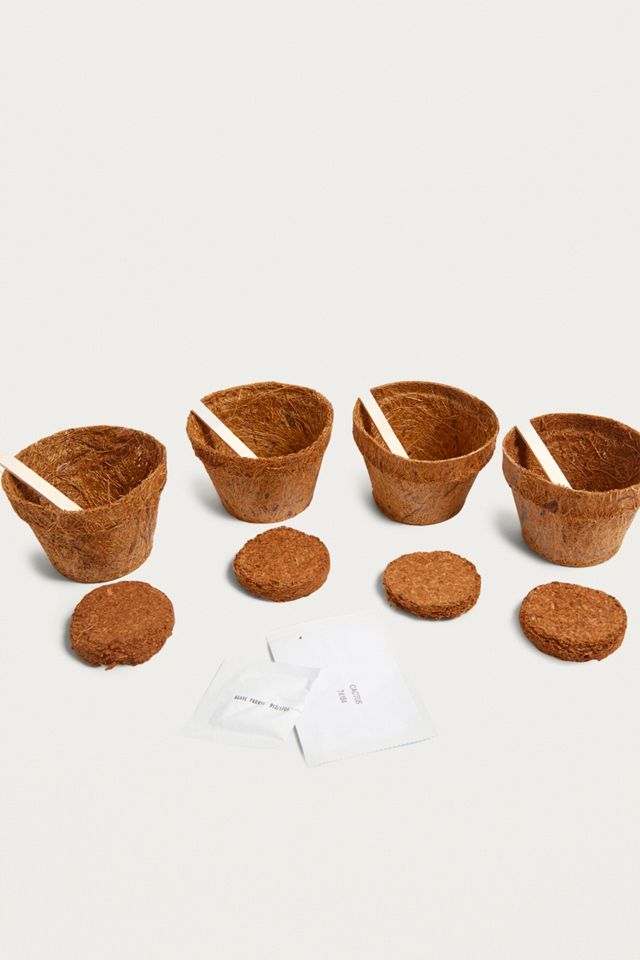 Grow Your Own Terrarium Kit #1