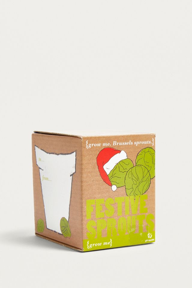 Grow Your Own Festive Sprouts Kit #1
