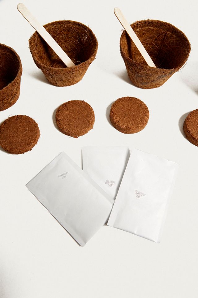 Grow Your Own Super Smoothie Kit #1