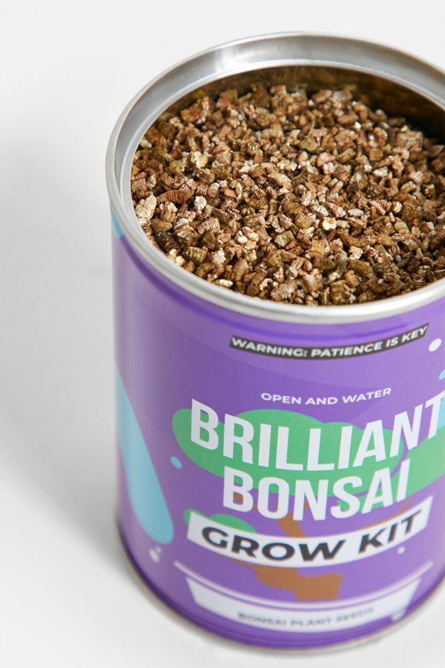 Grow Your Own Bonsai Tin #1