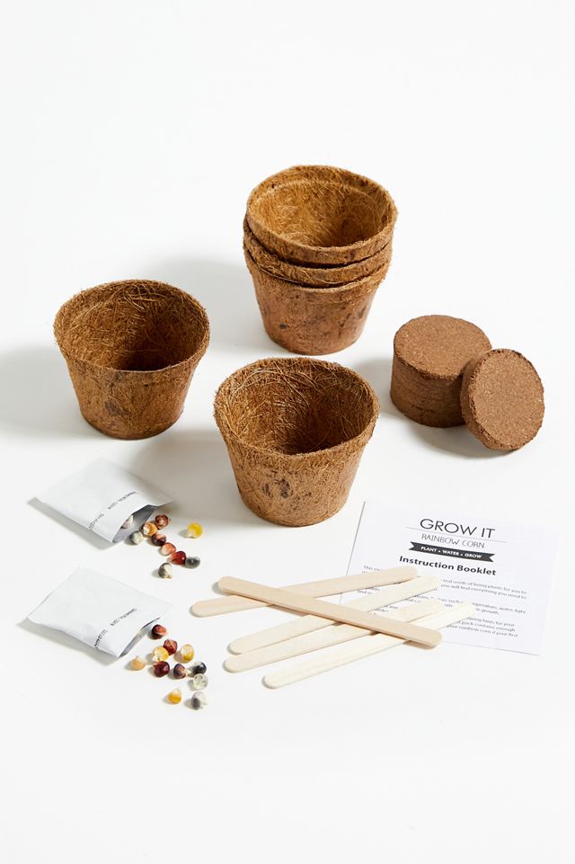 Grow It Rainbow Corn Kit #1