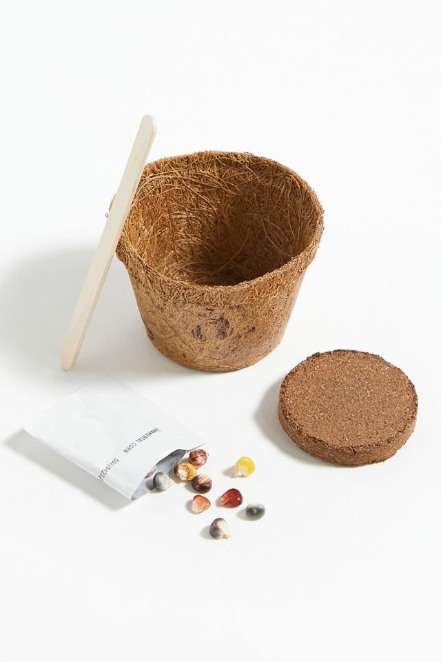 Grow It Rainbow Corn Kit #2