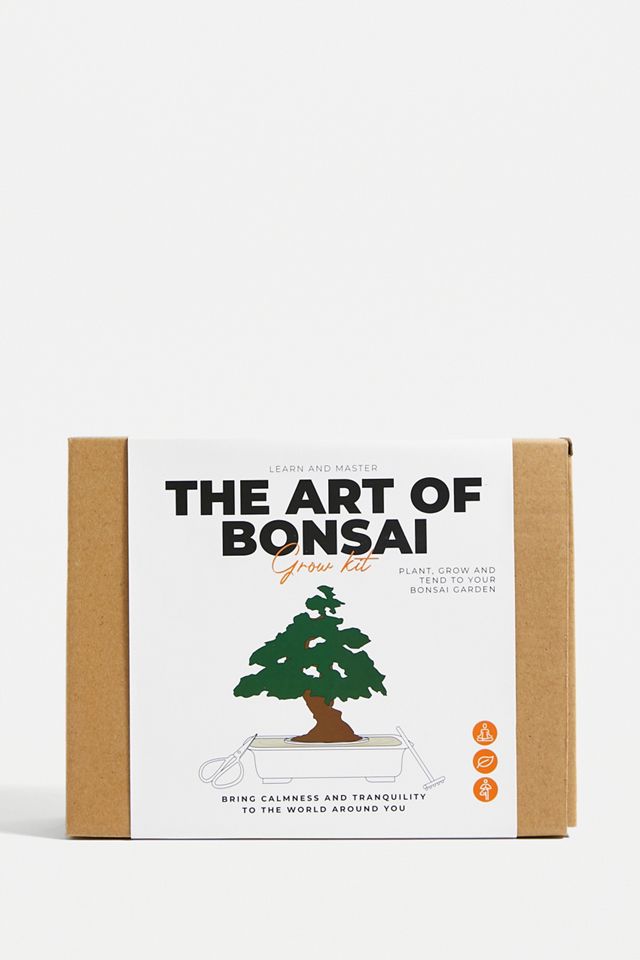 The Art Of Bonsai Grow Kit Urban Outfitters UK