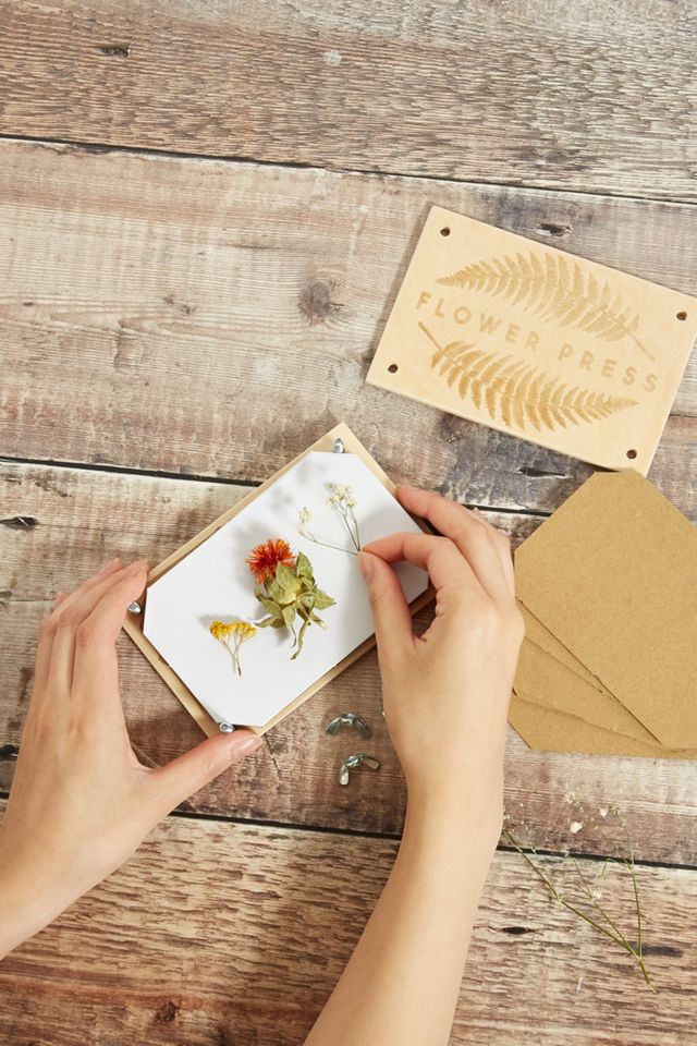 DIY Flower Press Kit #1