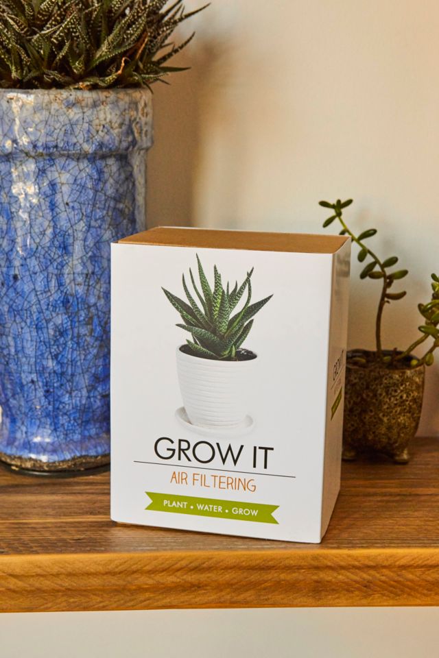 Grow Your Own Air Filtering Plant Kit Urban Outfitters UK