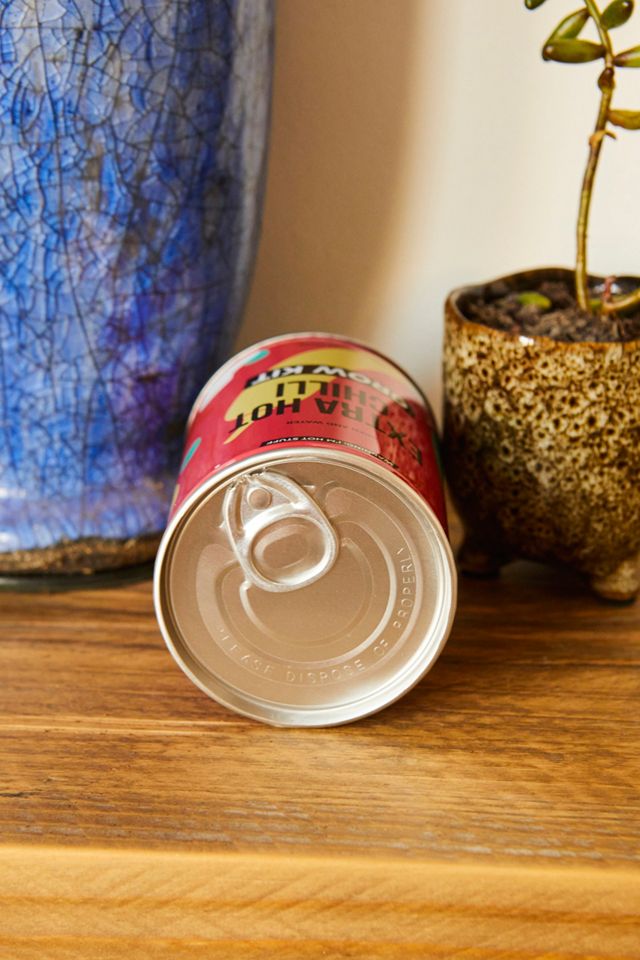 Grow Your Own Hot Chilli Tin #2