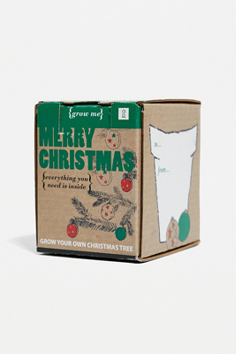 Grow your own christmas tree kit uk