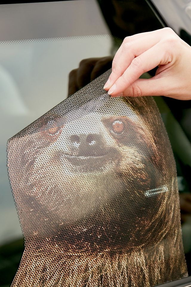 Sloth Car Decal #1