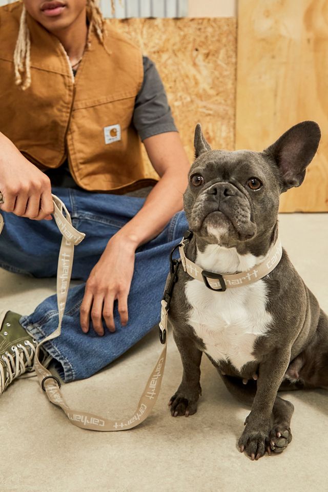 Carhartt WIP Collare per cani e guinzaglio #3