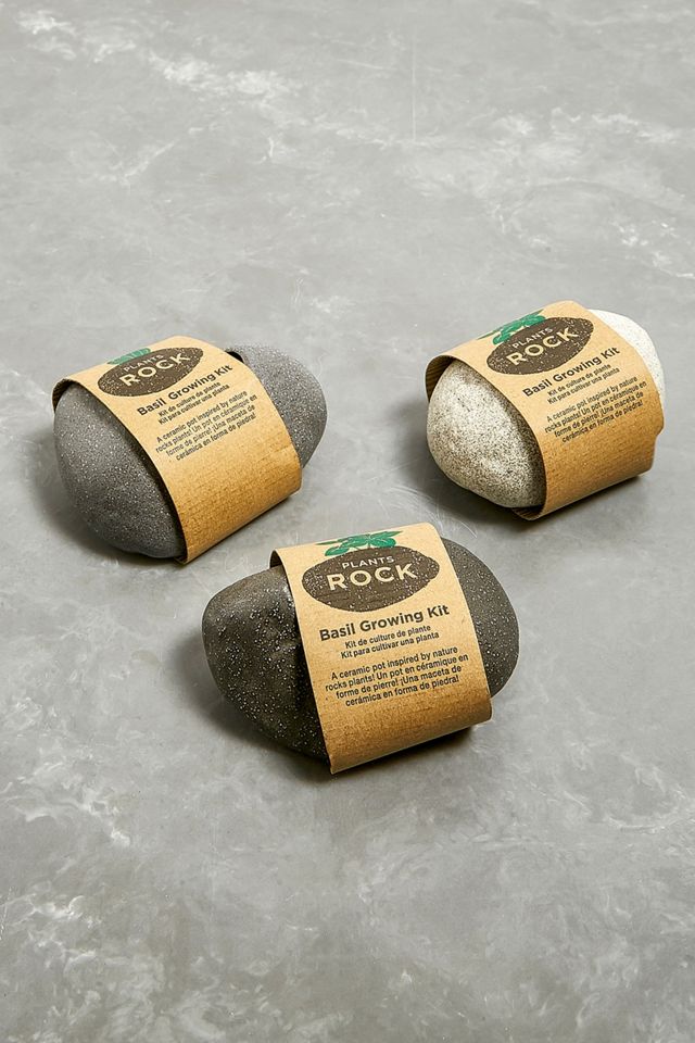 Plants Rock! Basil Growing Kit #1