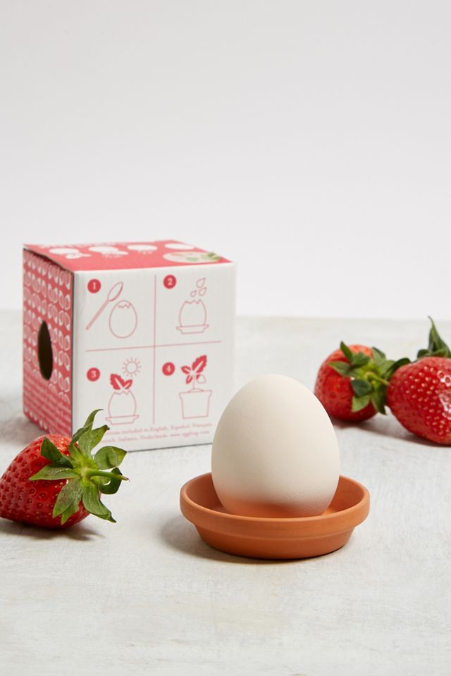 Eggling – Pflanzgefäß „Strawberry Crack and Grow Kit“ für Erdbeeren #1
