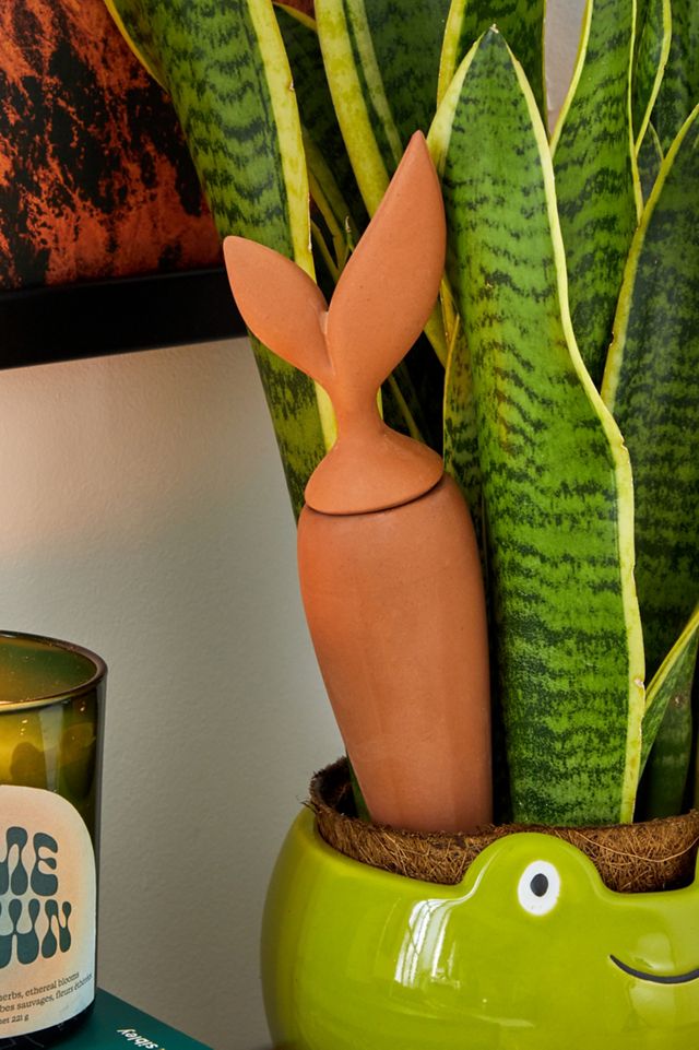 Bewässerungsspitze aus Terracotta für Pflanzen #2