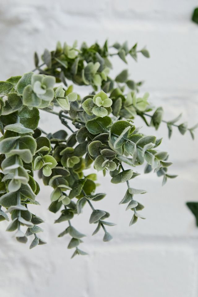 Faux Privet Branch #1