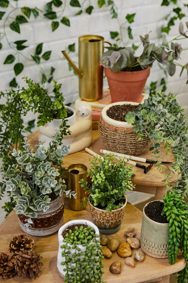 Faux Privet Branch #2