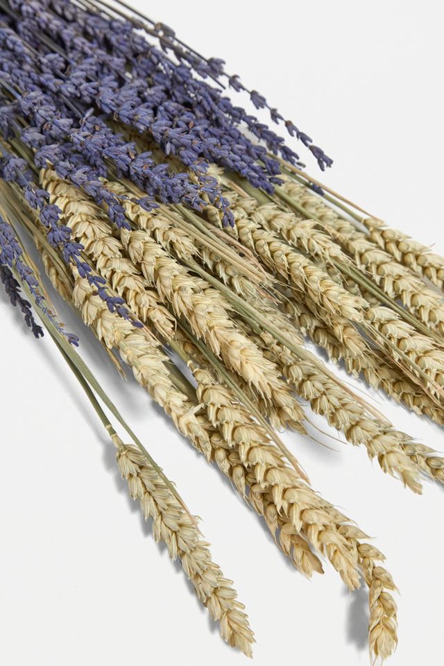Dried Lavender Bouquet #1